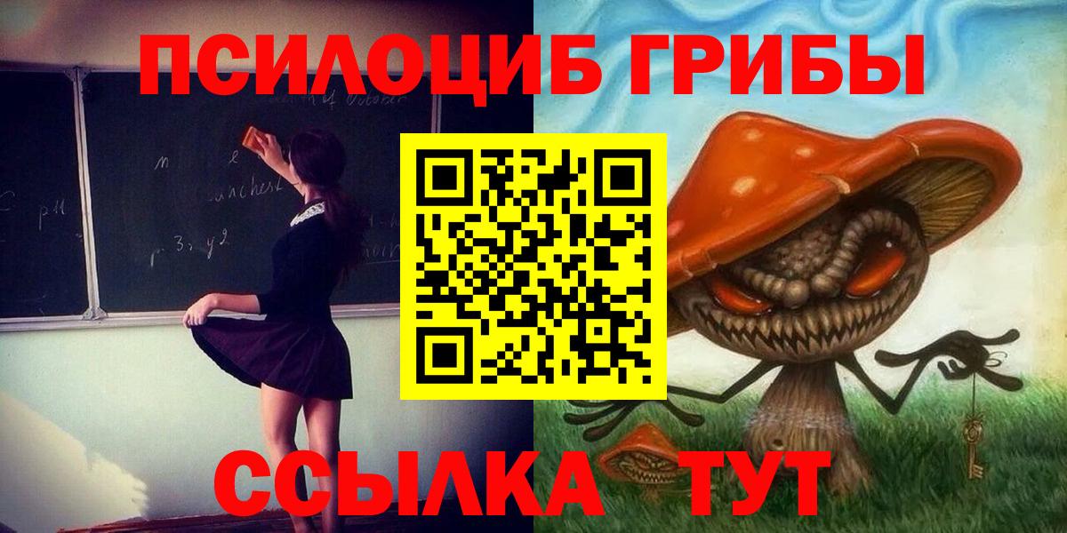 Дмитров  Псилоцибиновые грибы прущие грибы  Вход с VPN 