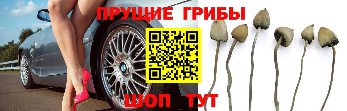 Псилоцибиновые грибы ЛСД Дмитров